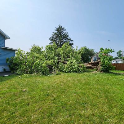 Emergency tree service operation site