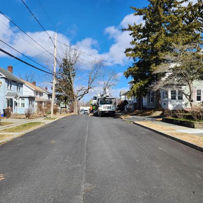 Emergency tree service operation site