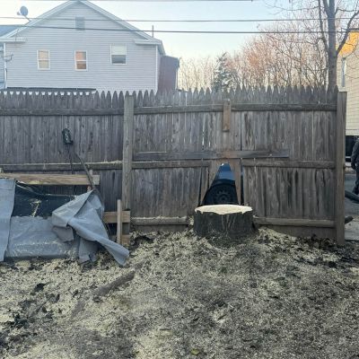 Tree care project image