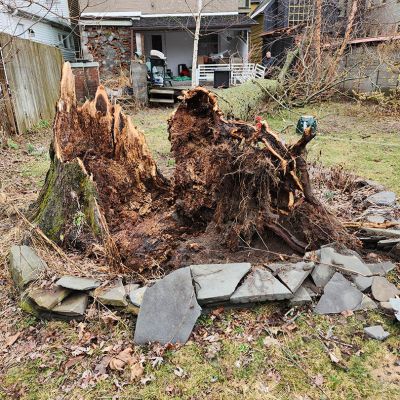 Emergency tree service operation site