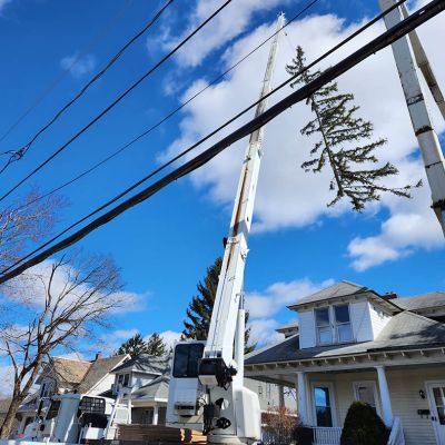 Emergency tree service operation site