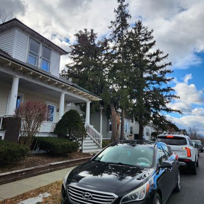 Emergency tree service operation site