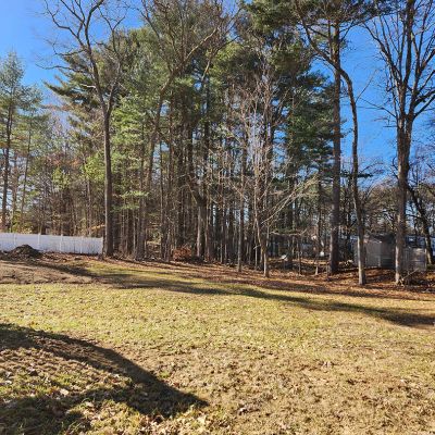 Tree care project image