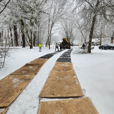 Tree care project image