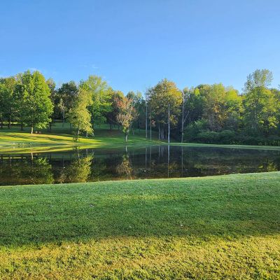 Tree care project image