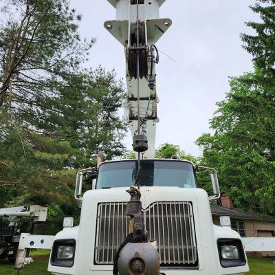 Emergency tree service operation site