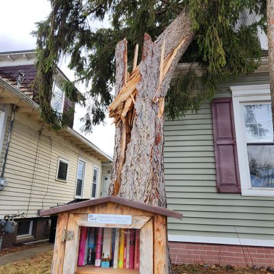 Emergency tree service operation site