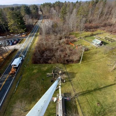 Tree care project image