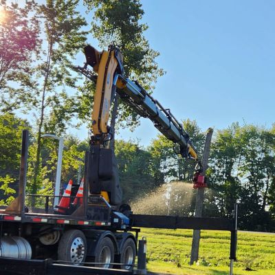 Tree care project image