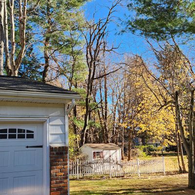 Emergency tree service operation site