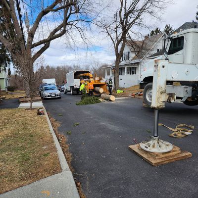 Emergency tree service operation site
