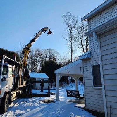 Tree care project image