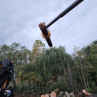 Tree care project image