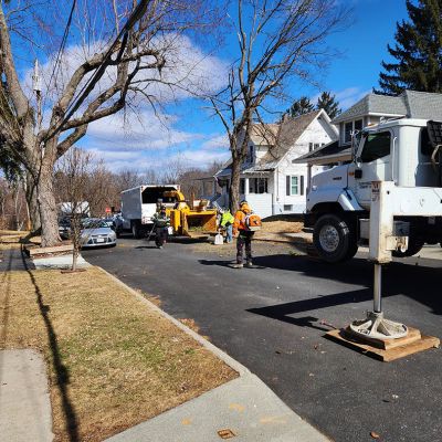 Emergency tree service operation site