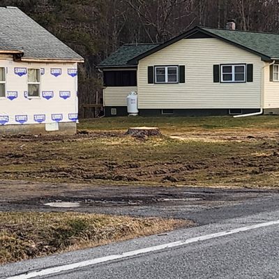 Incorrect tree service practice