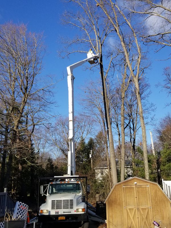 Crane and bucket services