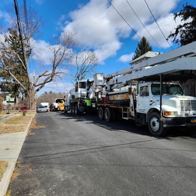 Emergency tree service operation site