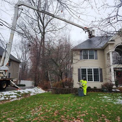 Emergency tree service operation site