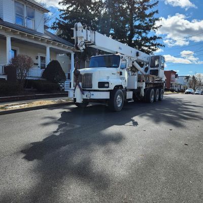 Emergency tree service operation site