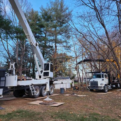 Emergency tree service operation site