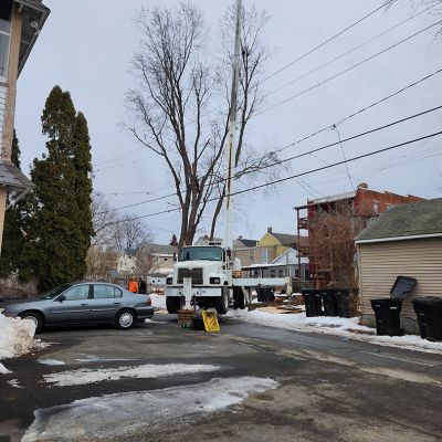 Emergency tree service operation site