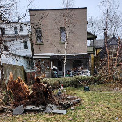 Emergency tree service operation site