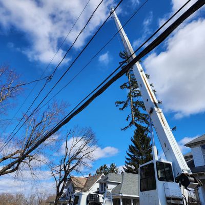 Emergency tree service operation site