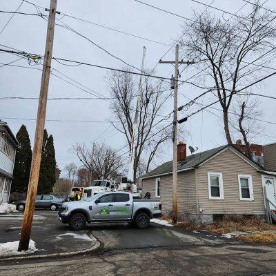 Emergency tree service operation site