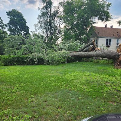 Emergency tree service operation site
