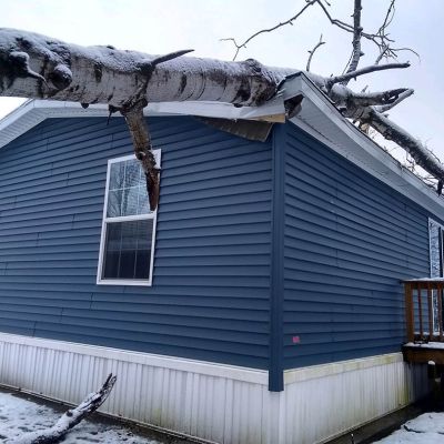 Emergency tree service operation site