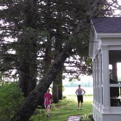 Emergency tree service operation site