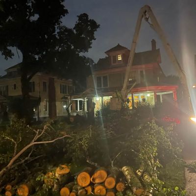 Emergency tree service operation site