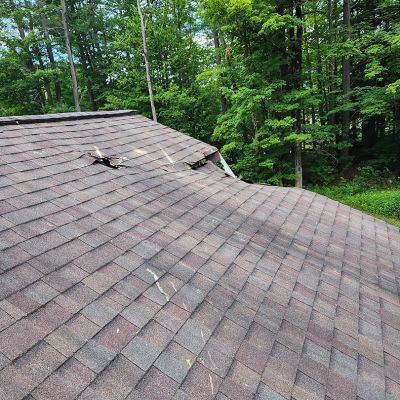 Emergency tree service operation site