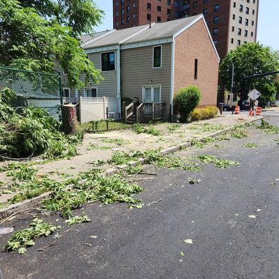 Emergency tree service operation site