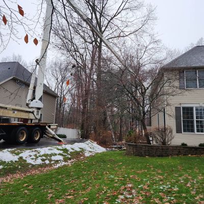 Emergency tree service operation site