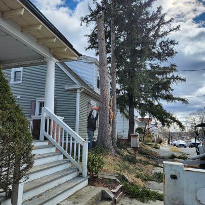 Emergency tree service operation site