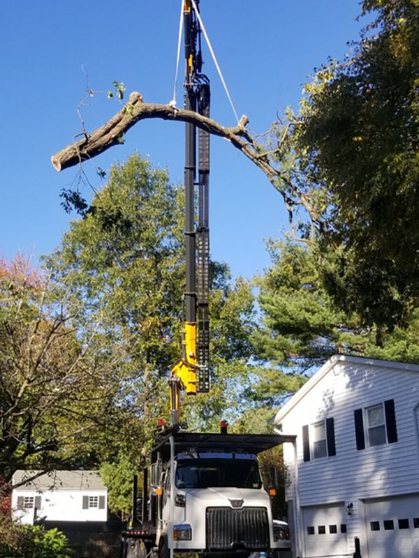 Crane and bucket services