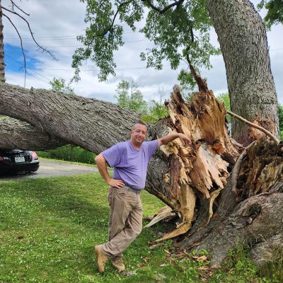 Emergency tree service operation site