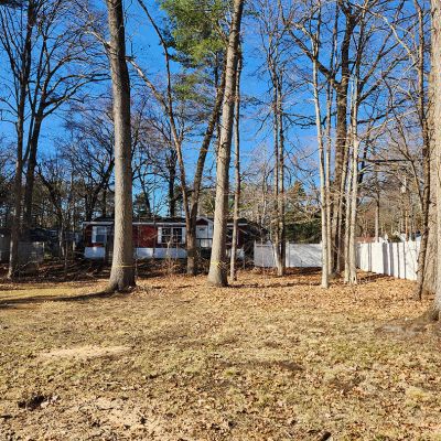 Tree care project image