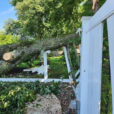 Emergency tree service operation site