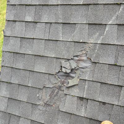 Emergency tree service operation site