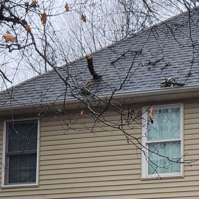 Emergency tree service operation site