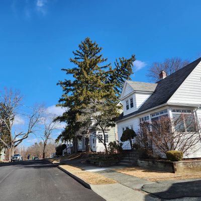 Emergency tree service operation site