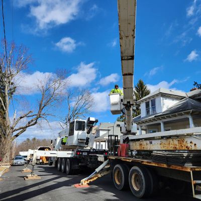 Emergency tree service operation site