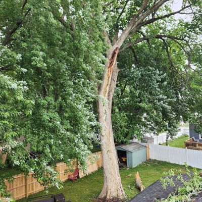 Emergency tree service operation site