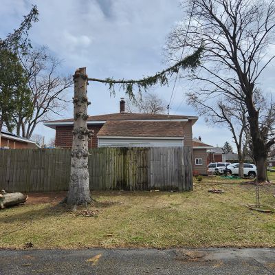 Incorrect tree service practice