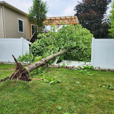 Emergency tree service operation site