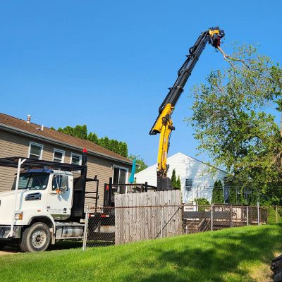 Tree care project image