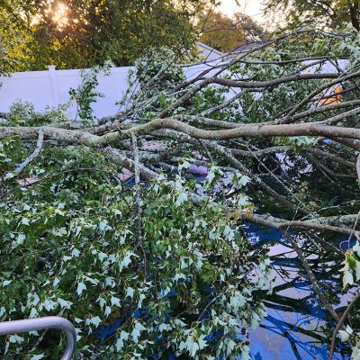 Emergency tree service operation site