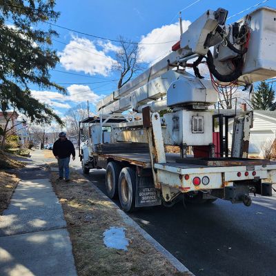 Emergency tree service operation site